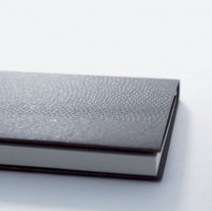 book cover by Masayo Abe