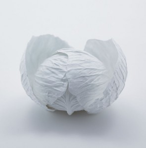 cabbage bowl by Yasuhiro Suzuki