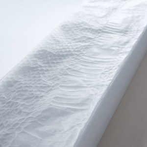 snakeskin paper towel by Kengo Kuma