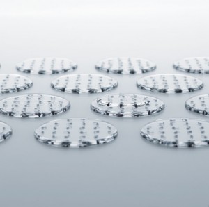 tadpole coasters by Shin Sobue