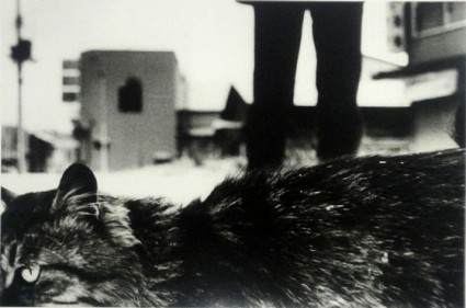 daido northern no1 560 thumb 560x371 581 425x281 Daido Moriyama | Northern