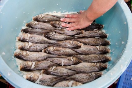 Packaging Design for Funa Zushi 4 425x283 Packaging Design for Funazushi