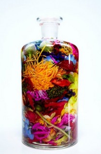 Bottle Flower 2 by Makoto Azuma
