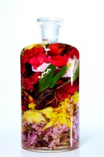 Bottle Flower 3 by Makoto Azuma