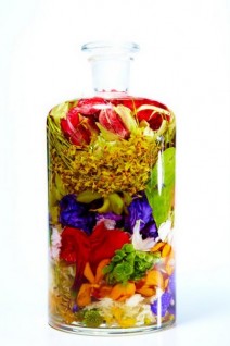 Bottle Flower 4 by Makoto Azuma