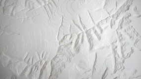 P1200120
