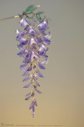 Sakae kanzashi 4