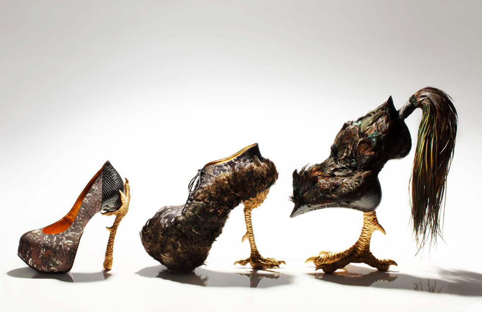 birds shoes