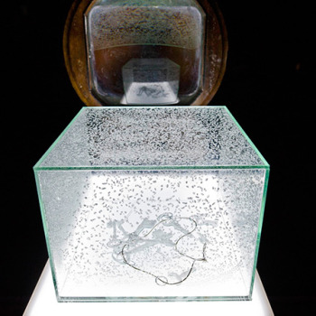 Strata: Aiko Miyanaga Designs the Process of Constant Change