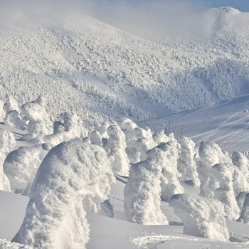 Sho Shibata Captures the Snow Monsters of Northern Japan