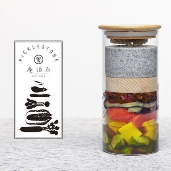 Picklestone: A New Revolutionary Tool to Create Pickles