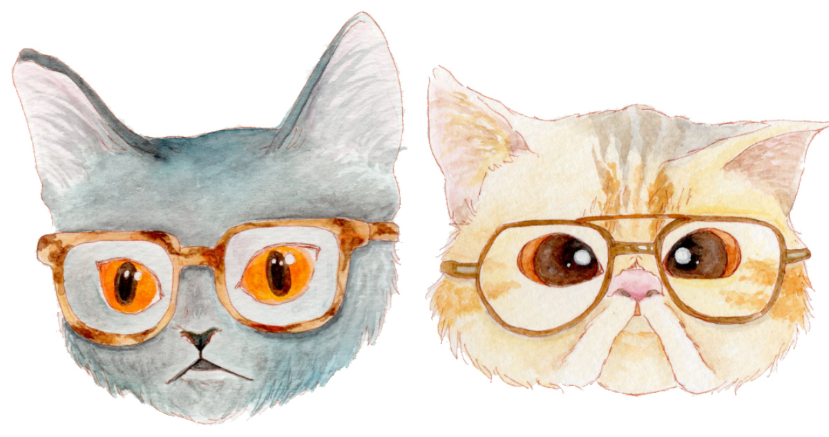 Illustrated Watercolor Portraits Of Bespectacled Cats By Noryco Spoon Tamago