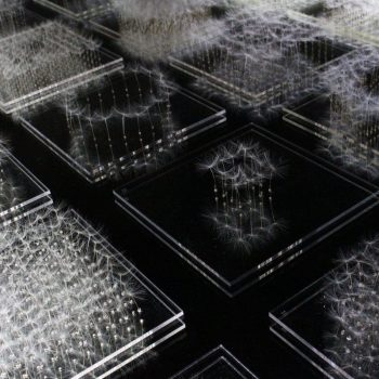 Architectural Sculptures Made from Dandelion Fluff by Yusuke Aonuma