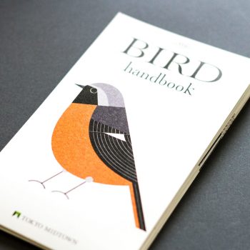 The Birds of Tokyo Beautifully Illustrated by Ryo Takemasa