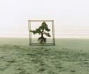 shiki-formula-landscape-2005.JPG