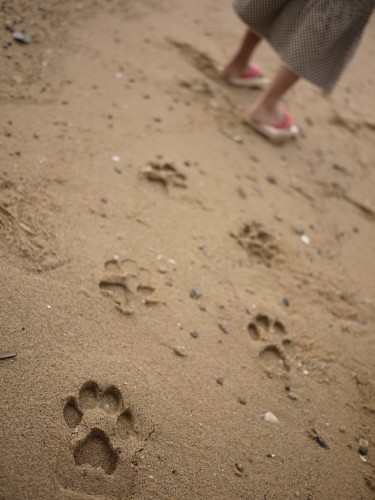 ashiato - footprint