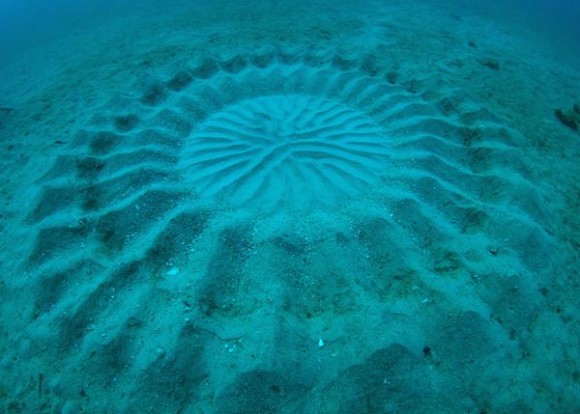 https://www.spoon-tamago.com/wp-content/uploads/2012/09/underwater-mystery-circle-2-580x414.jpg