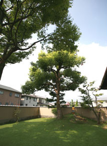 Garden-Tree-House-by-Hironaka-Ogawa (9)