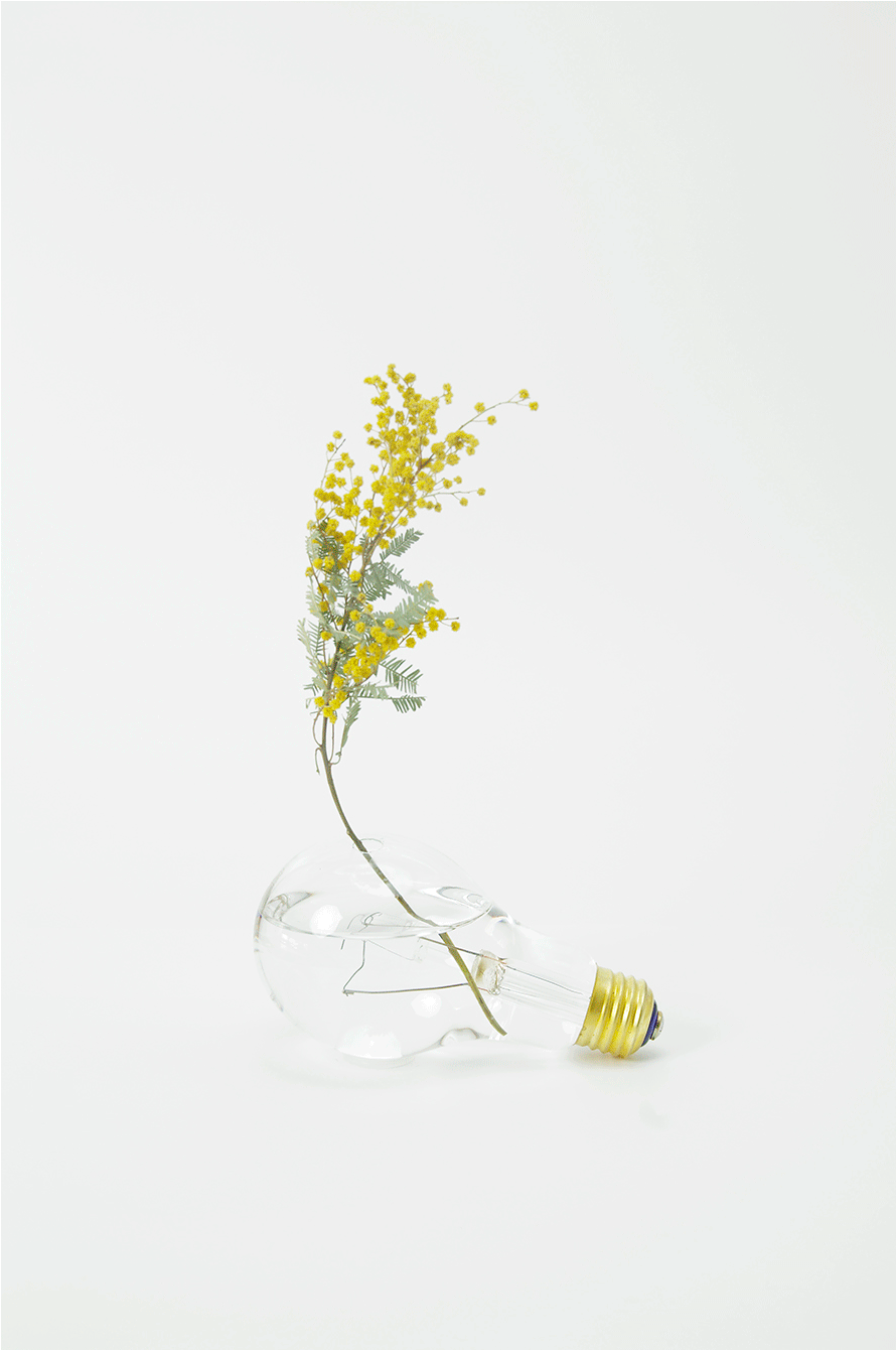 light-bulb-vase-gif-021