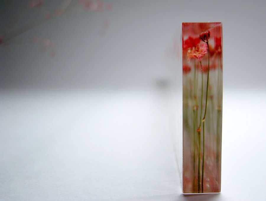 f,l,o,w,e,r,s flower ruler by norihiko terayama