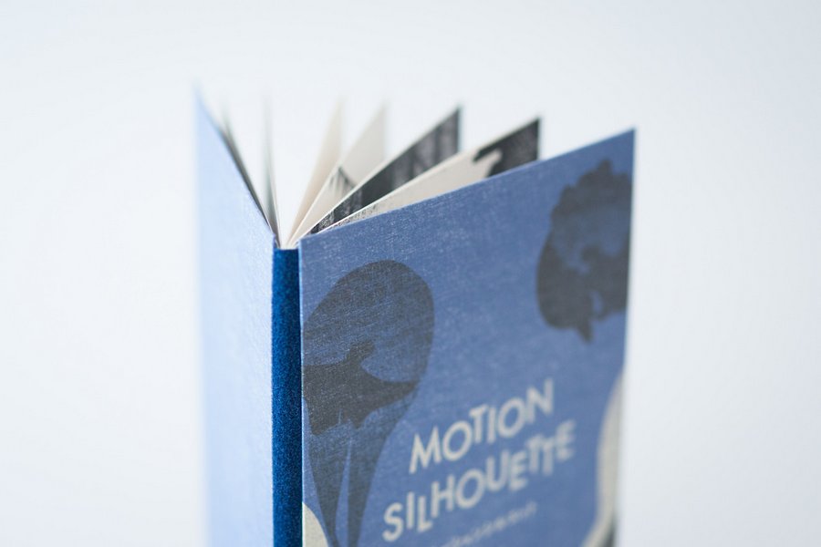 motion sihouette storybook (5)