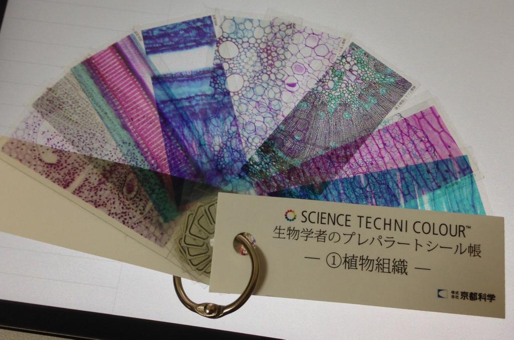 science-techni-color-histology-slides (8)