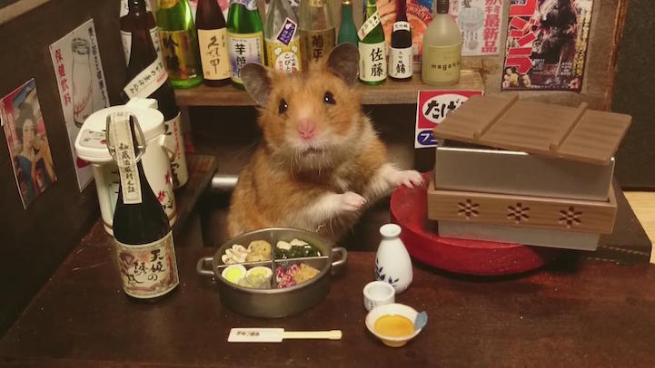 ginji hamster bartender
