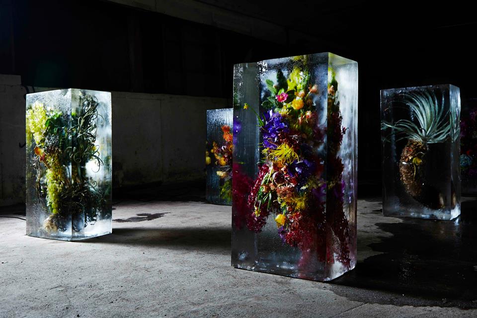 iced flowers by makoto azuma
