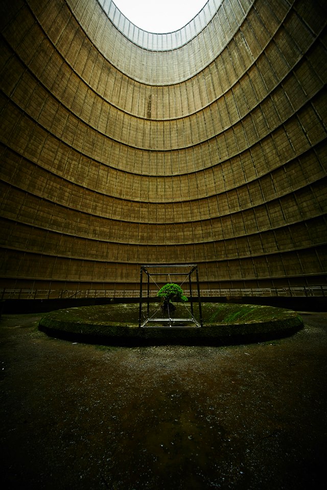 shiki bonsai power station belgium by makoto azuma