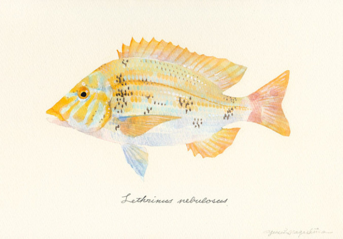 yusei-nagashima-an-artist-who-paints-nothing-but-fish-spoon-tamago