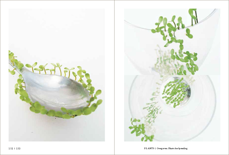 'Overgrown: Plants are Spreading' by Fuyuko Kogi, Shiho Sato and Ayumi Nishimoto, as featured in Ex-formation by Kenya Hara