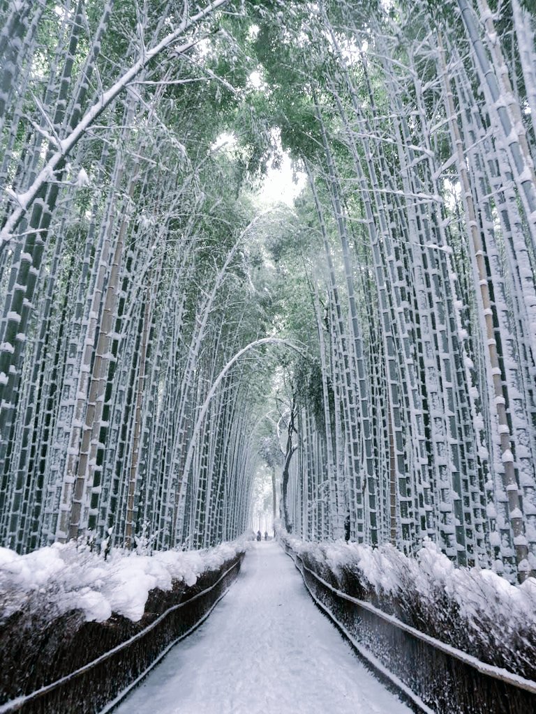 https://www.spoon-tamago.com/wp-content/uploads/2017/01/winter-2017-snowfall-kyoto-5.jpg