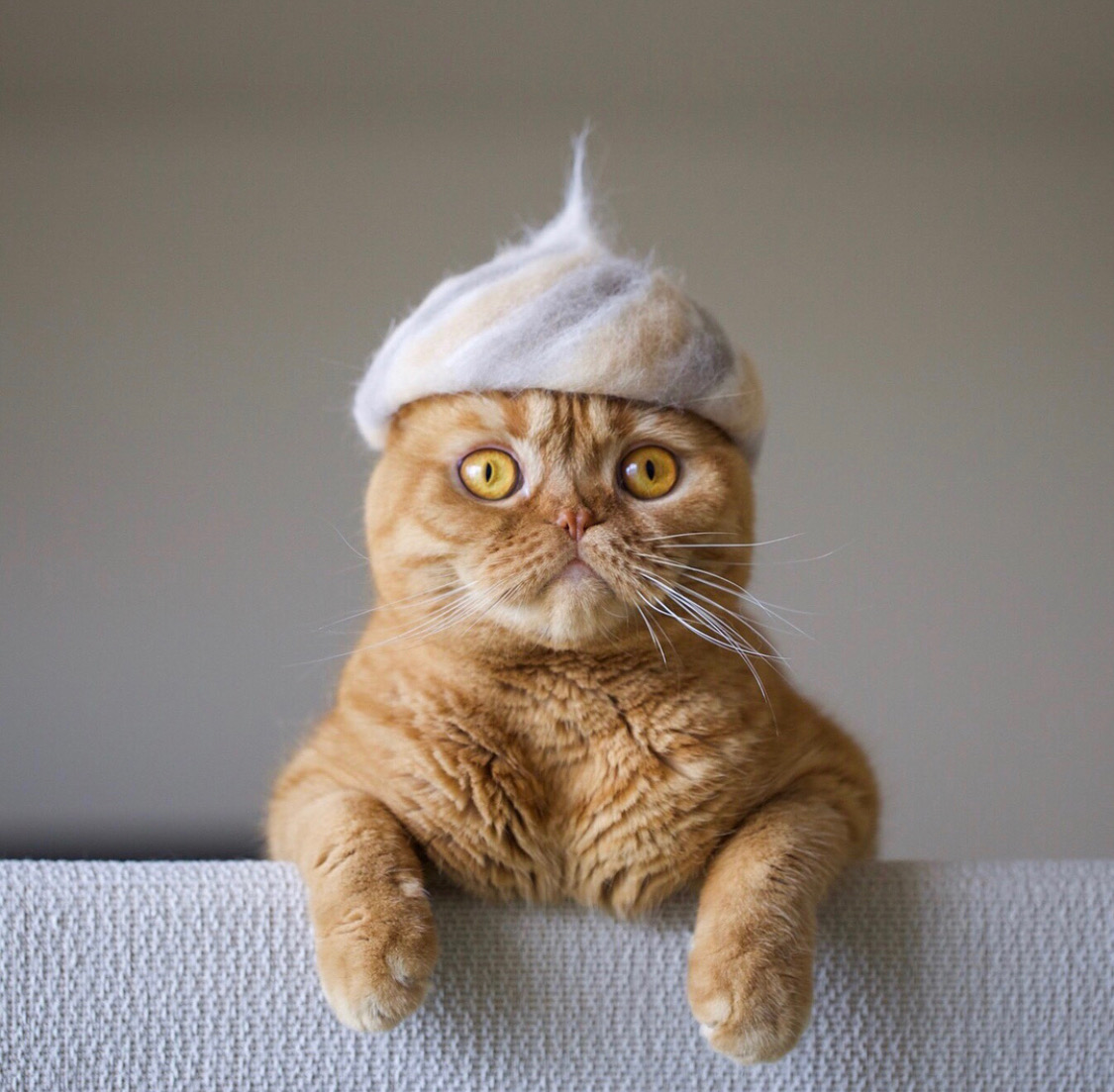 reparere fortvivlelse foretage Nukege Hats: Hats for Cats, Fashioned Out of Their Own Shed | Spoon & Tamago