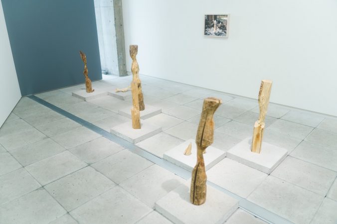 Aki Inomata Collaborates with Beavers to Create Sculptures that ...