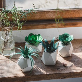Papelants: Collapsible Paper Plants for the Home