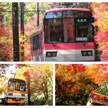 Travelling Through Eizan Railway’s Picturesque ‘Momiji Tunnel’