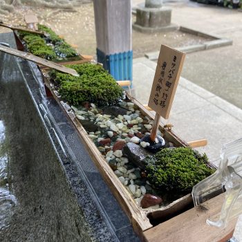 Hitokotonushi Shrine in Ibaraki Hosts Summertime Honey Bee Oasis