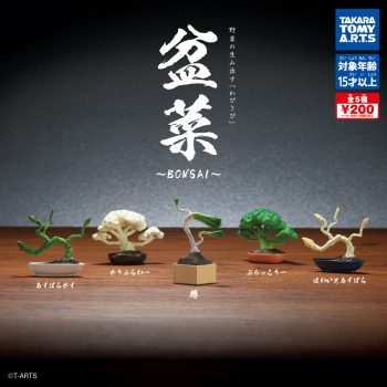 Veggies Reimagined as Miniature ‘Wabi-Sabi’ Bonsai